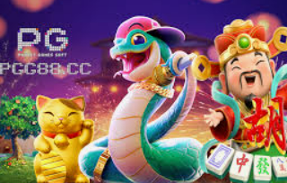 333体育官网下载2024最新版