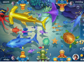 333体育官网下载2024最新版